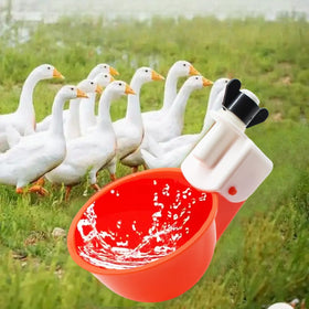 DoubleWood Waterer Cups in use with chickens and ducks for continuous hydration.