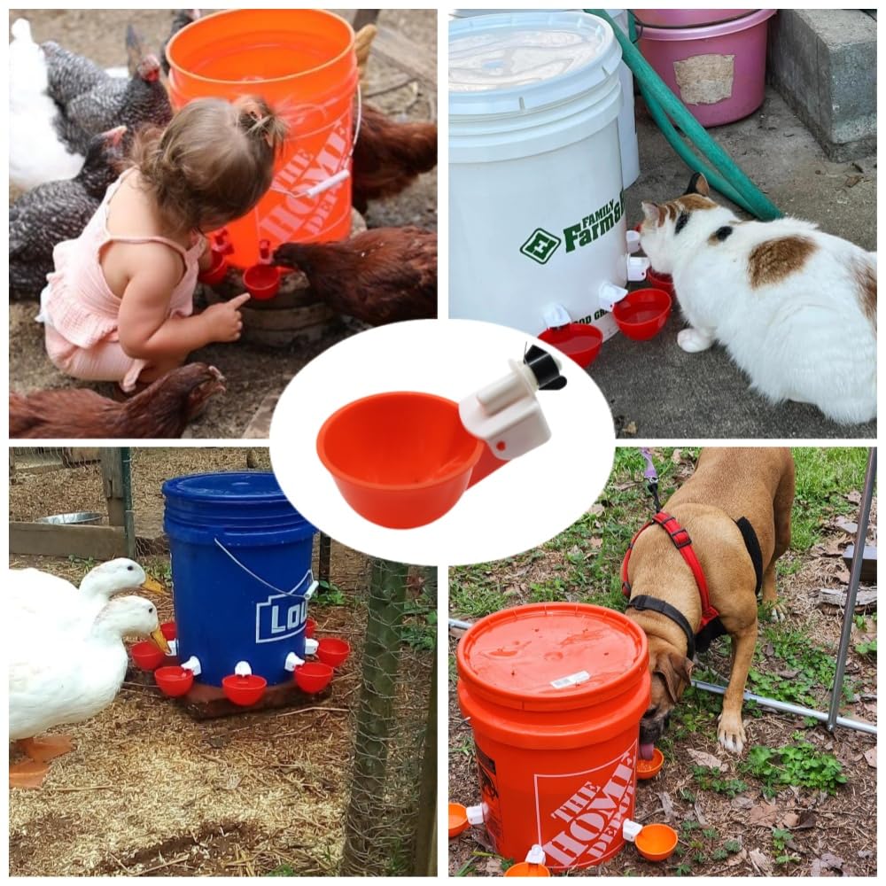 Space-saving design of DoubleWood Waterer Cups in a tight coop corner.