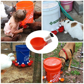 Space-saving design of DoubleWood Waterer Cups in a tight coop corner.
