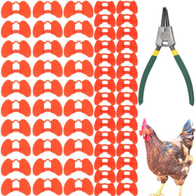 DoubleWood pinless peepers middle size worn by a chicken to reduce pecking.