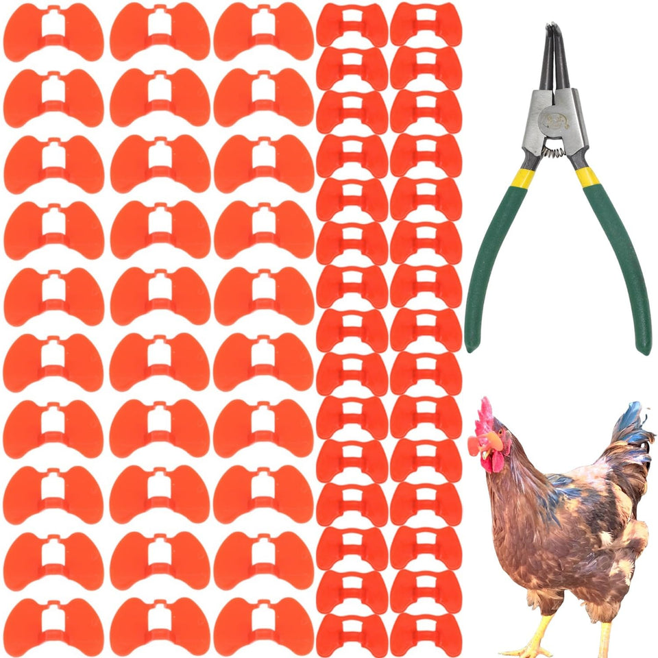 DoubleWood pinless peepers middle size worn by a chicken to reduce pecking.