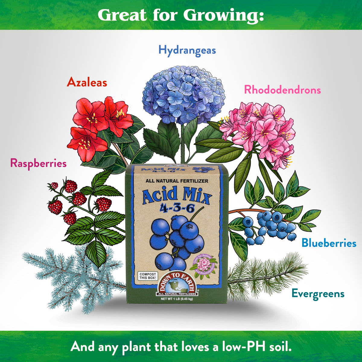 Down To Earth Acid Mix on blueberries promotes vibrant fruiting