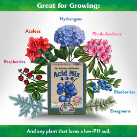 Down To Earth Acid Mix on blueberries promotes vibrant fruiting