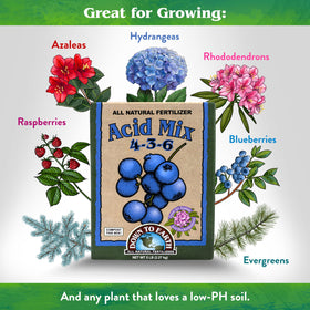 Down To Earth Organic Acid Mix around rhododendrons leaves, helps soil stay low in pH for uptake.