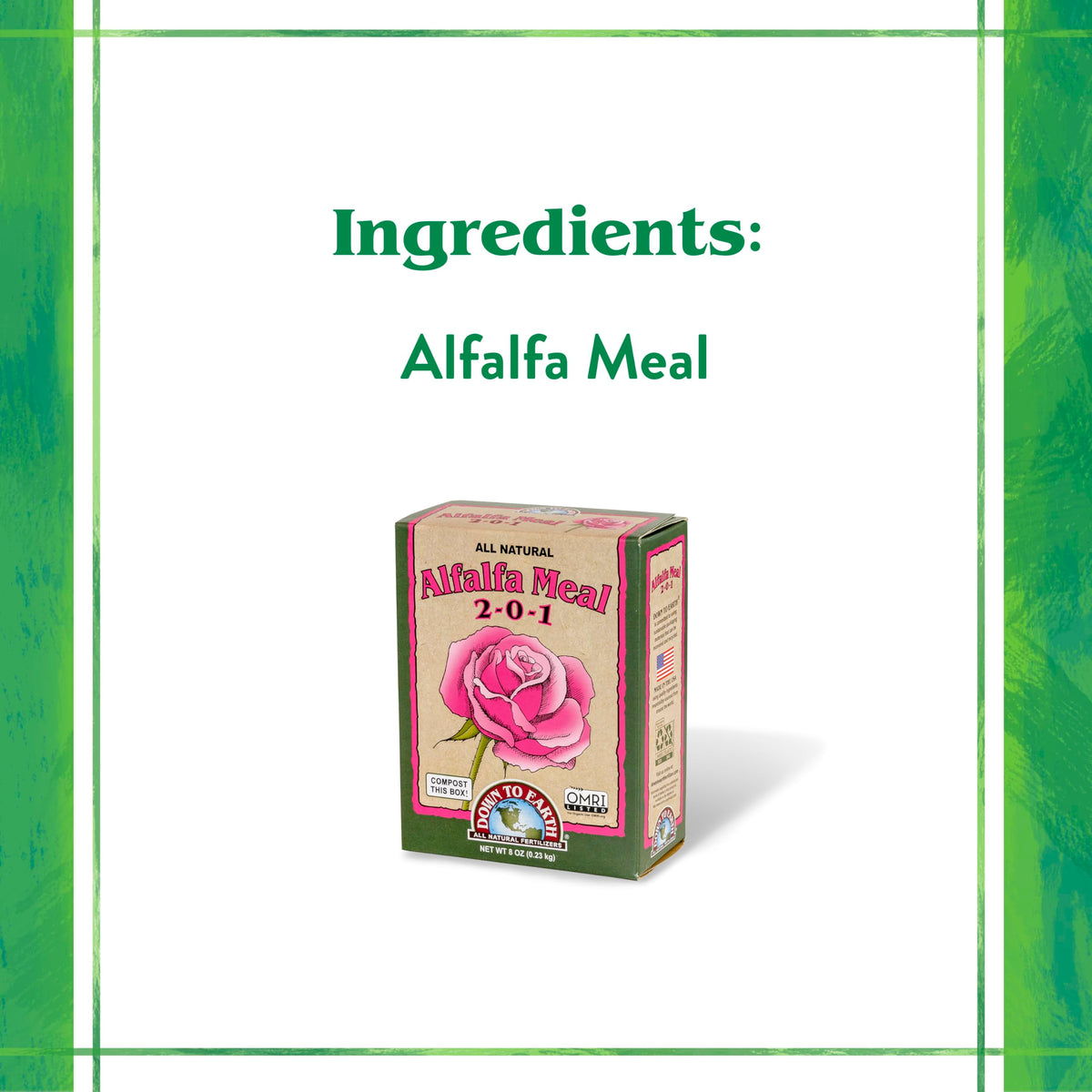 Down To Earth Alfalfa Meal rose garden image suggests bloom enhancement and vibrant foliage.
