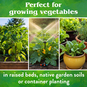 Down To Earth raised bed scene with slow-release nutrients in use