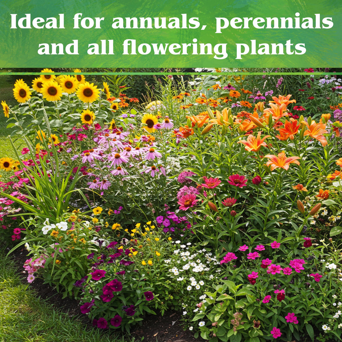 Down To Earth All Natural Fertilizers perennials bloom vibrant in garden bed.