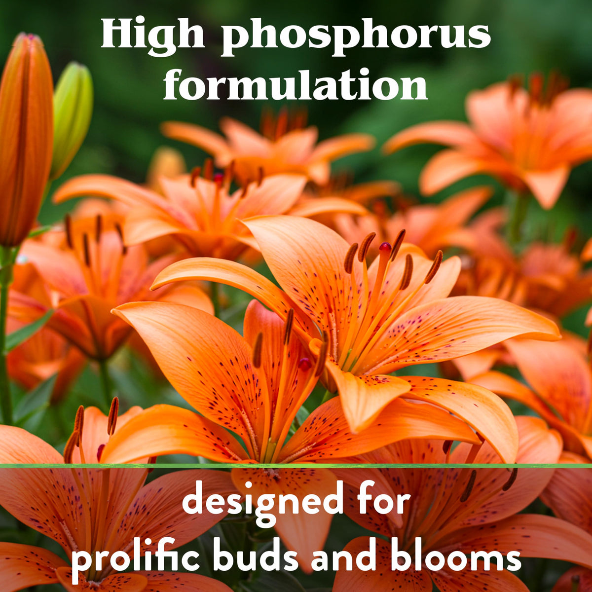 Down To Earth All Natural Fertilizers safe for pollinators, ideal for bee-friendly beds.