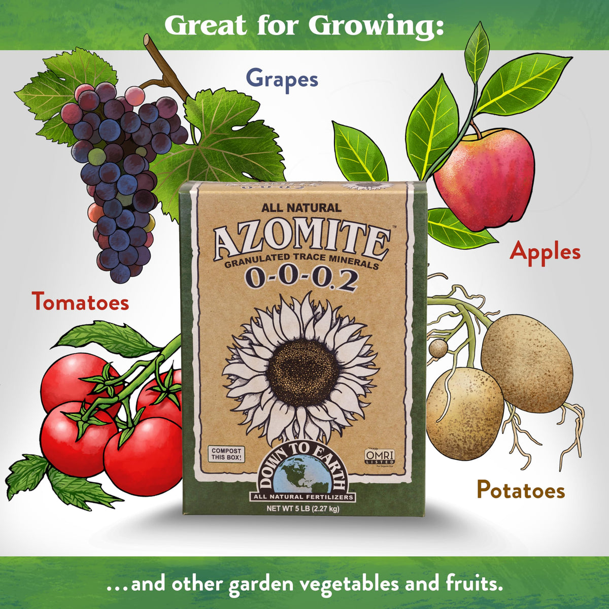 Down To Earth Azomite granules spread on soil in a garden bed