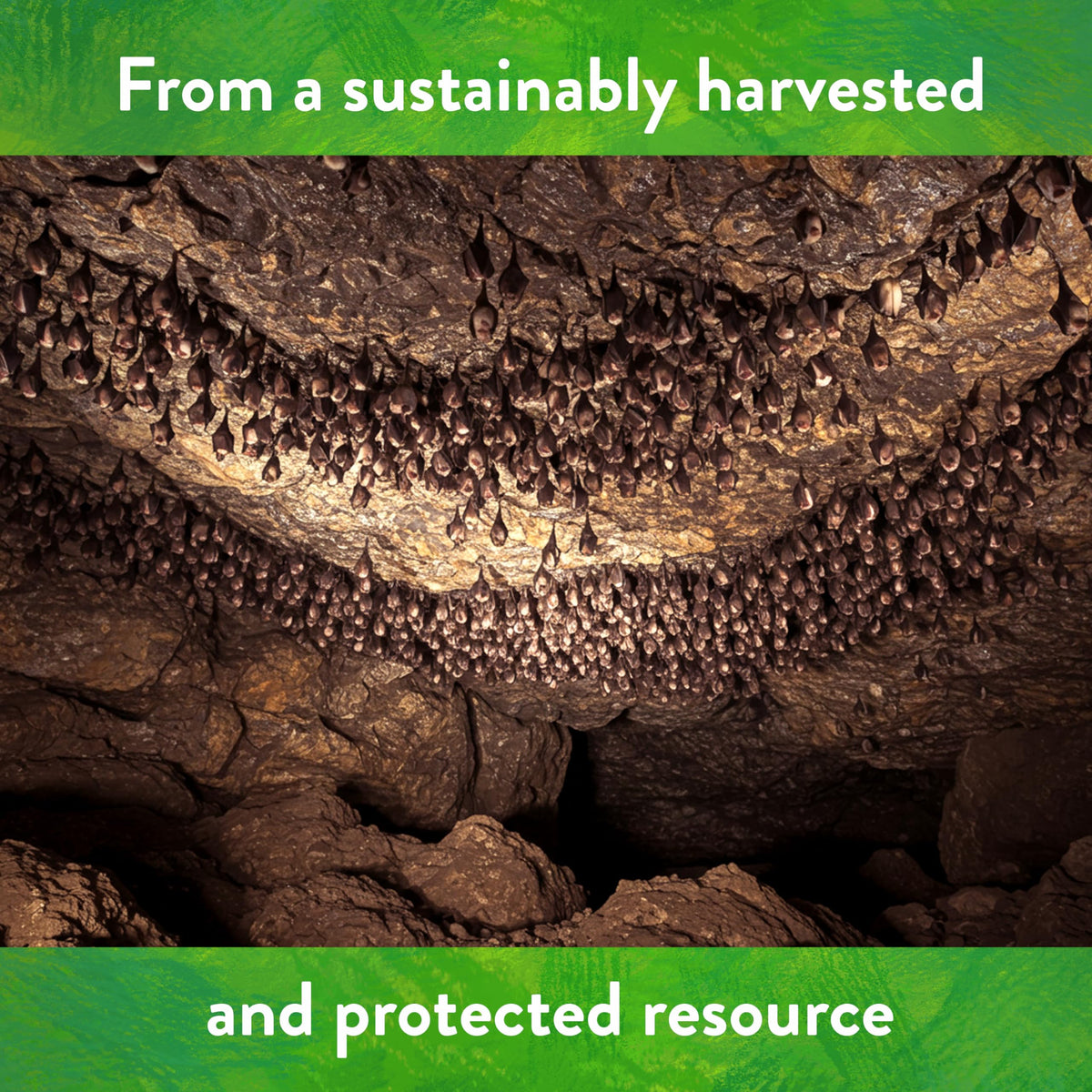 Down To Earth Bat Guano guano tea brew for easy feeding.