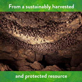 Down To Earth Bat Guano guano tea brew for easy feeding.