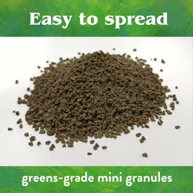 Down To Earth Bio-Turf 4-pound box ready for seasonal lawn feeding.