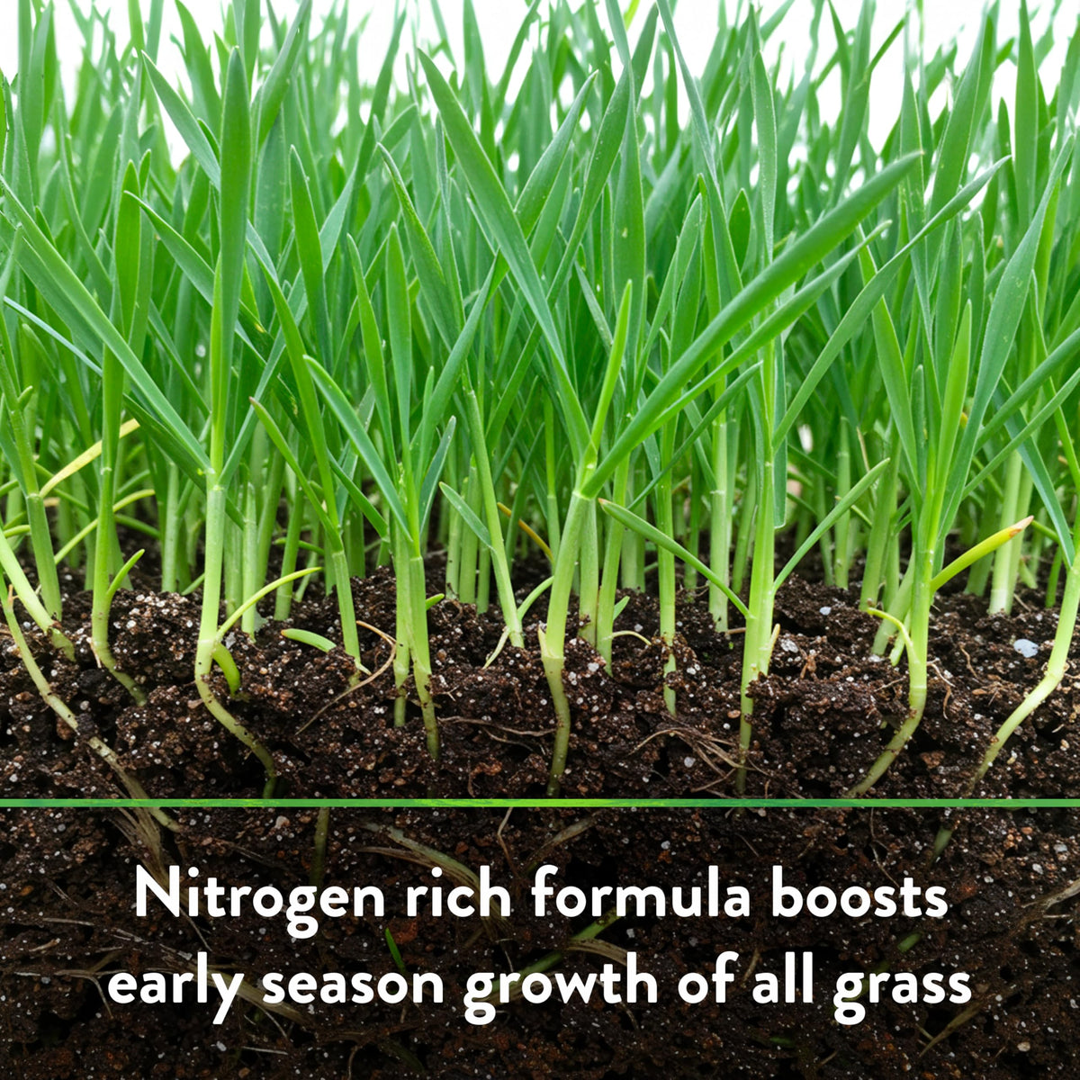 Down To Earth Bio-Turf OMRI-listed for organic-friendly lawn care.