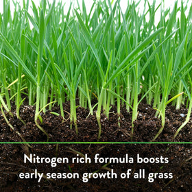 Down To Earth Bio-Turf OMRI-listed for organic-friendly lawn care.