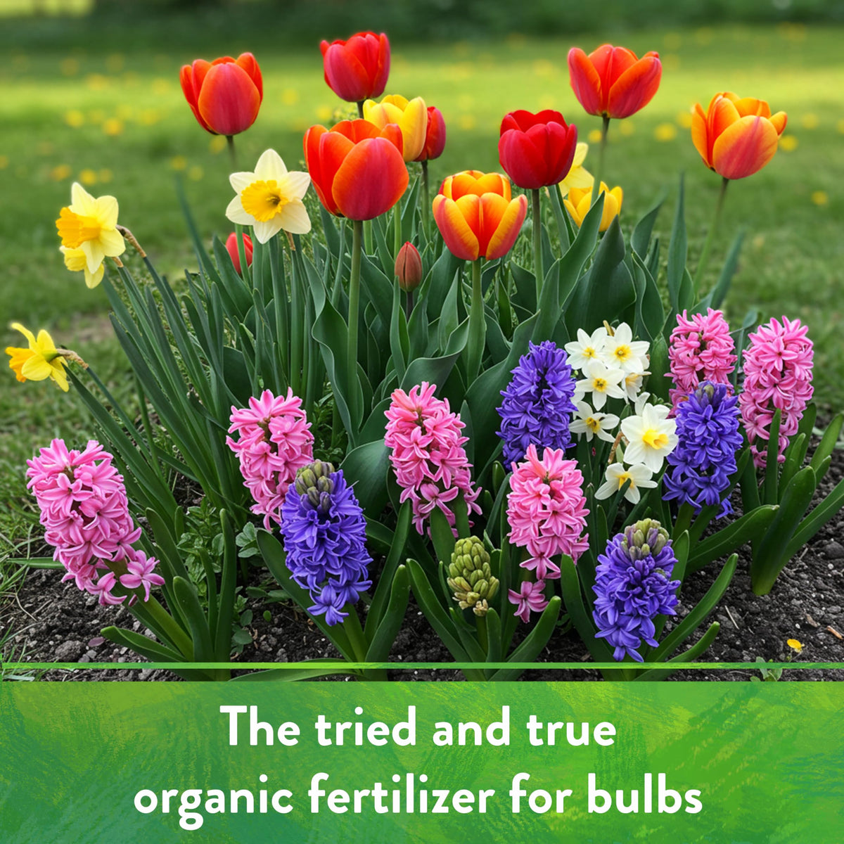 Down To Earth Organic Bone Meal is OMRI-listed for organic gardening.