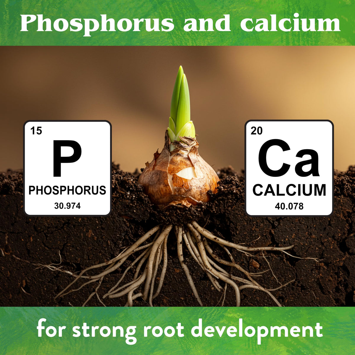Down To Earth Organic Bone Meal packaging highlights 3-15-0 formula for plant nutrition.