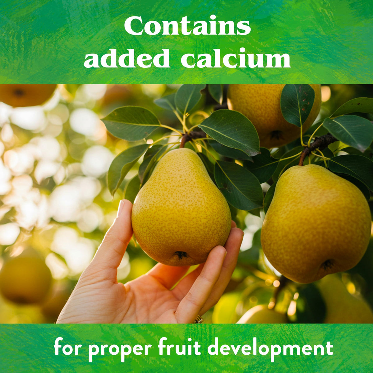Down To Earth citrus and berry trees benefit from organic nutrients for bloom and fruit set.