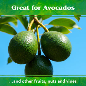 Down To Earth Citrus Mix calcium and magnesium support for tree vigor