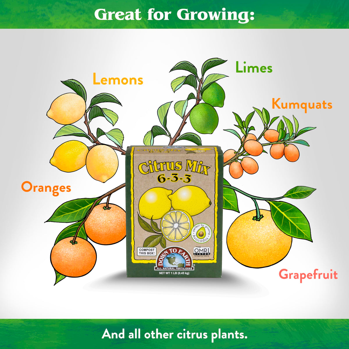 Natural sources in Down To Earth Citrus Mix for better uptake