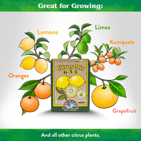 Natural sources in Down To Earth Citrus Mix for better uptake