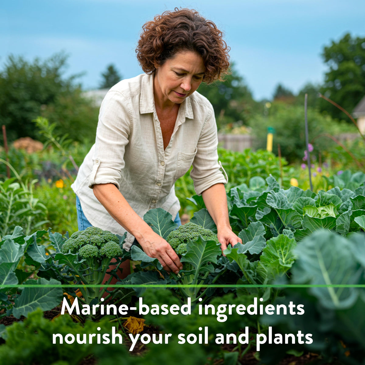 Down To Earth All Natural Fertilizers container garden use supports steady feeding in pots.