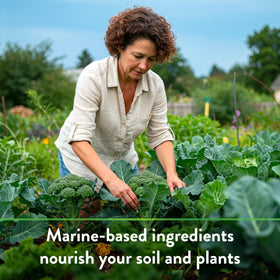 Down To Earth All Natural Fertilizers container garden use supports steady feeding in pots.