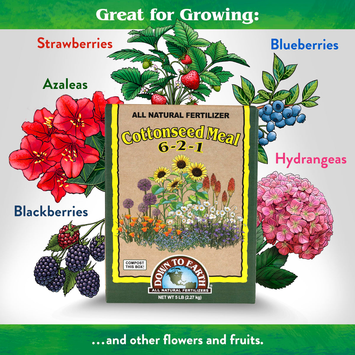 Down To Earth cottonseed meal aids soil texture for azaleas and blueberries.