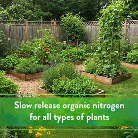 Flower bed with bright petals nourished by slow-release nitrogen