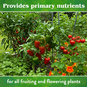 Down To Earth Fish Bone Meal garden-bed-application image showing easy sprinkle-in approach