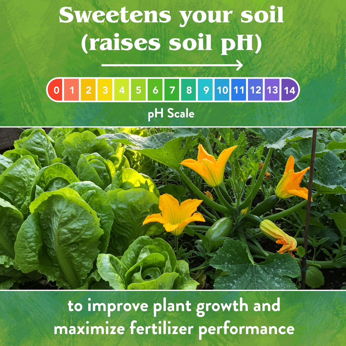 Down To Earth Garden Lime lawn application supports healthier turf growth.