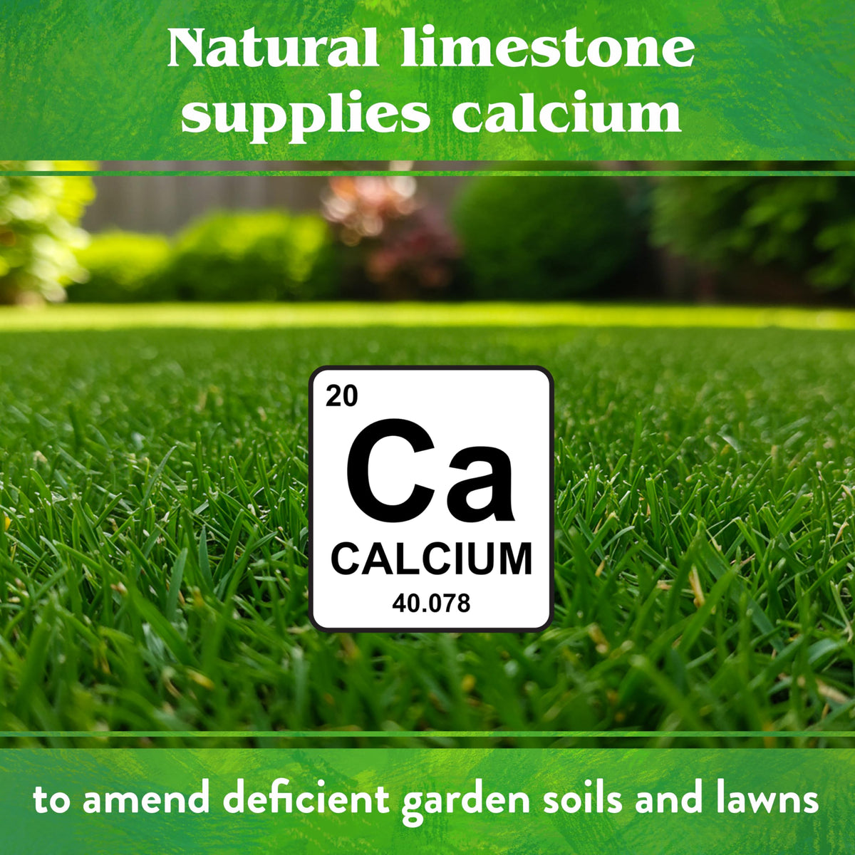 Down To Earth Garden Lime for vegetable gardens aids even nutrient uptake.