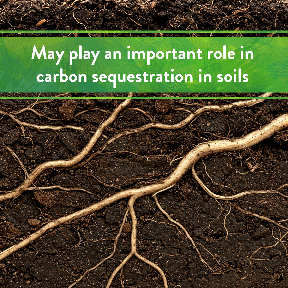Down To Earth Greenstone Metabasalt can be top-dressed or mixed into soil for best results.
