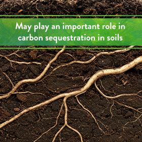 Down To Earth Greenstone Metabasalt can be top-dressed or mixed into soil for best results.