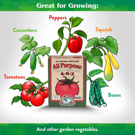 Organic ingredients close-up from Down To Earth for soil health.