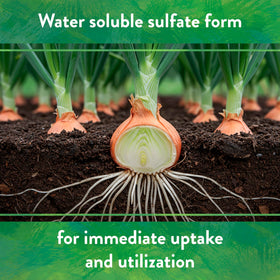 Down To Earth Potassium sulfate for foliar applications delivers leaf nutrients efficiently.