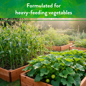 Down To Earth All Natural Fertilizers raised-bed application promotes even nutrient distribution.