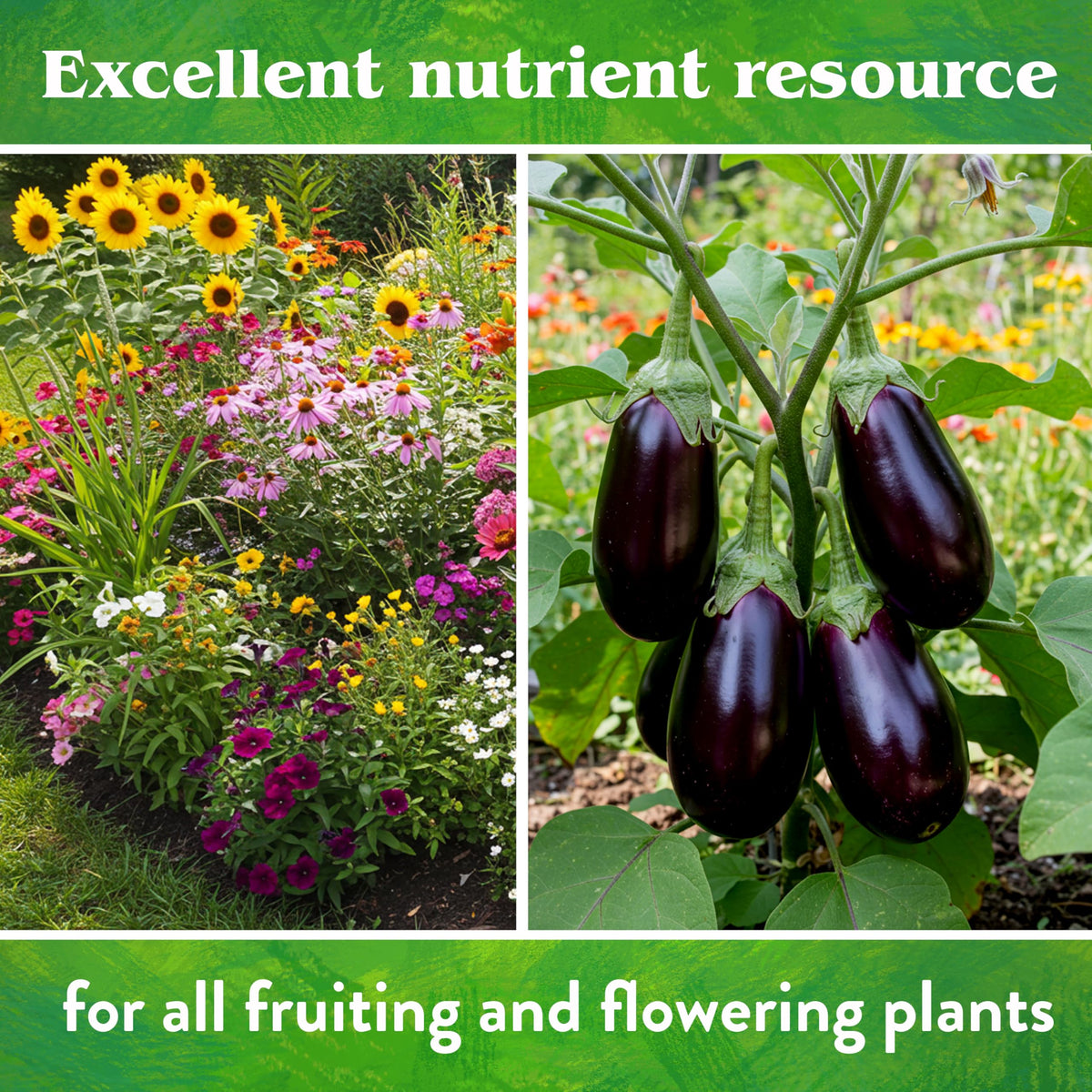 Down To Earth Rock Phosphate enriching flowering bed with phosphorus