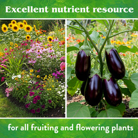 Down To Earth Rock Phosphate enriching flowering bed with phosphorus