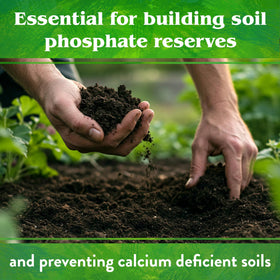 Down To Earth Rock Phosphate pours into a garden bed during planting