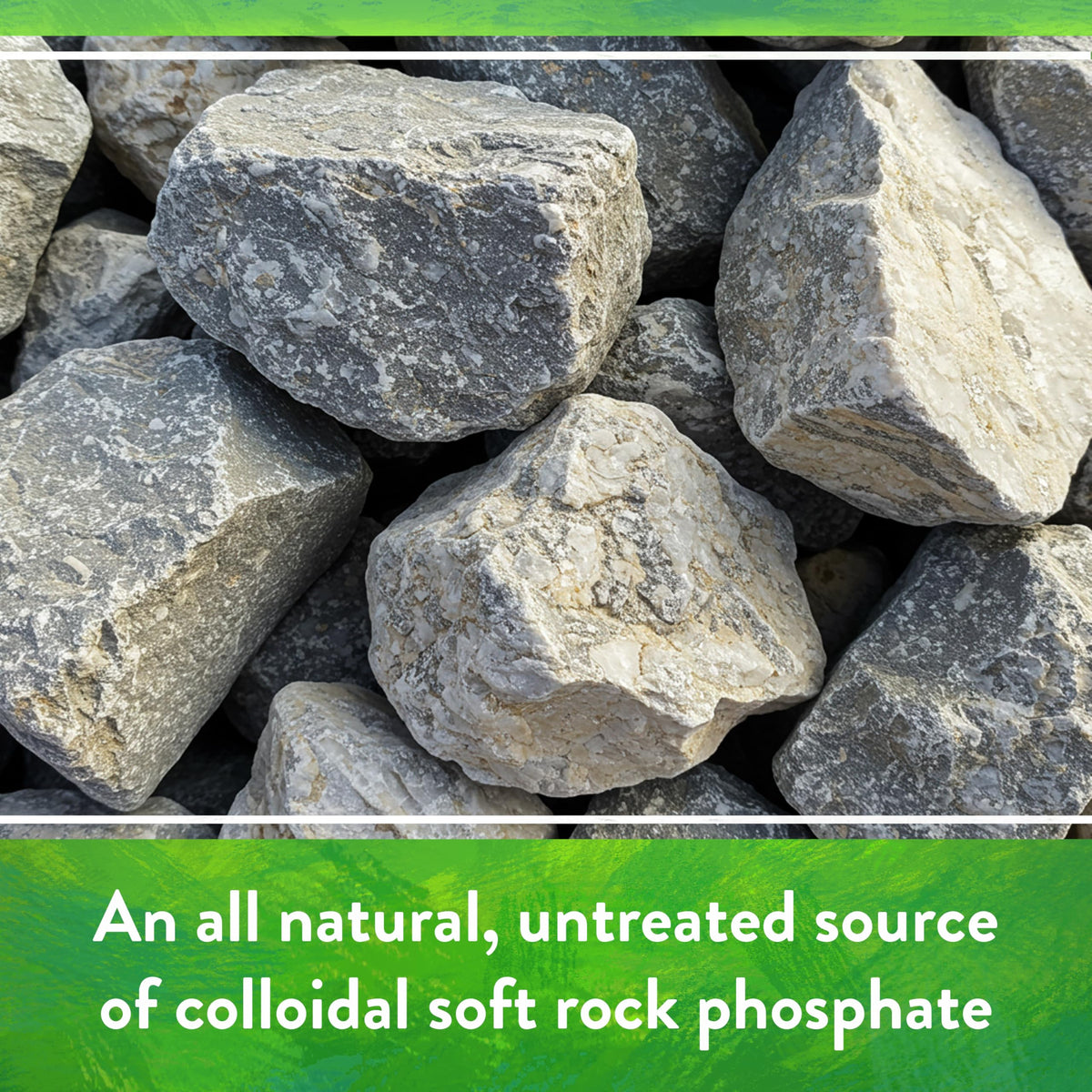 Down To Earth Rock Phosphate being sprinkled into soil for long-term phosphorus