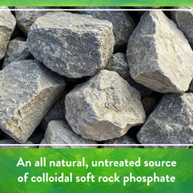 Down To Earth Rock Phosphate being sprinkled into soil for long-term phosphorus