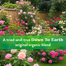 Down To Earth Rose & Flower Mix balanced nutrients for sustained garden blooms.