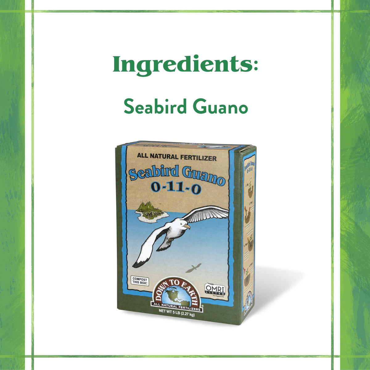 Healthy blooms from Down To Earth Seabird Guano improving flower size and quality