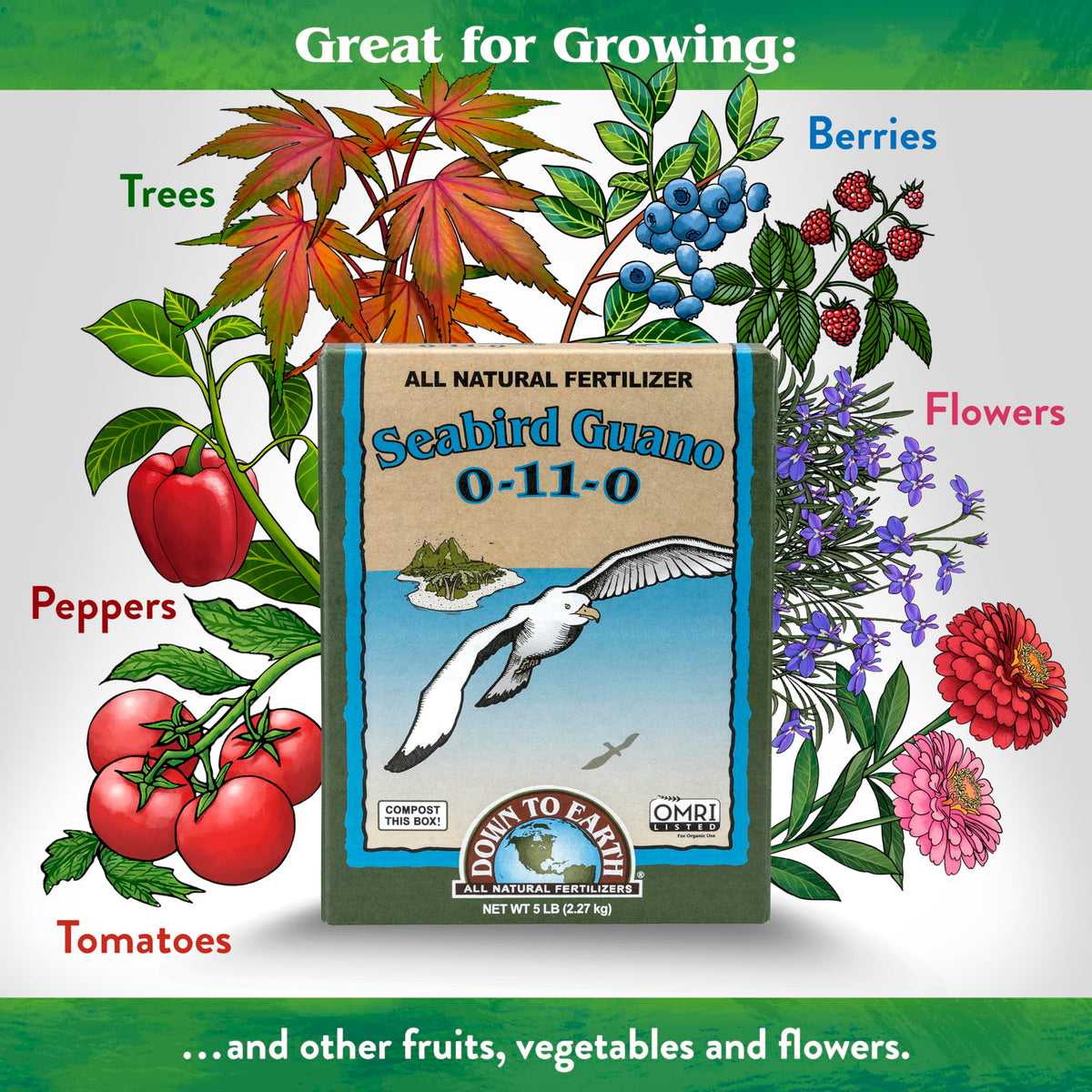 Liquid application of Down To Earth Guano supports flowering during peak season