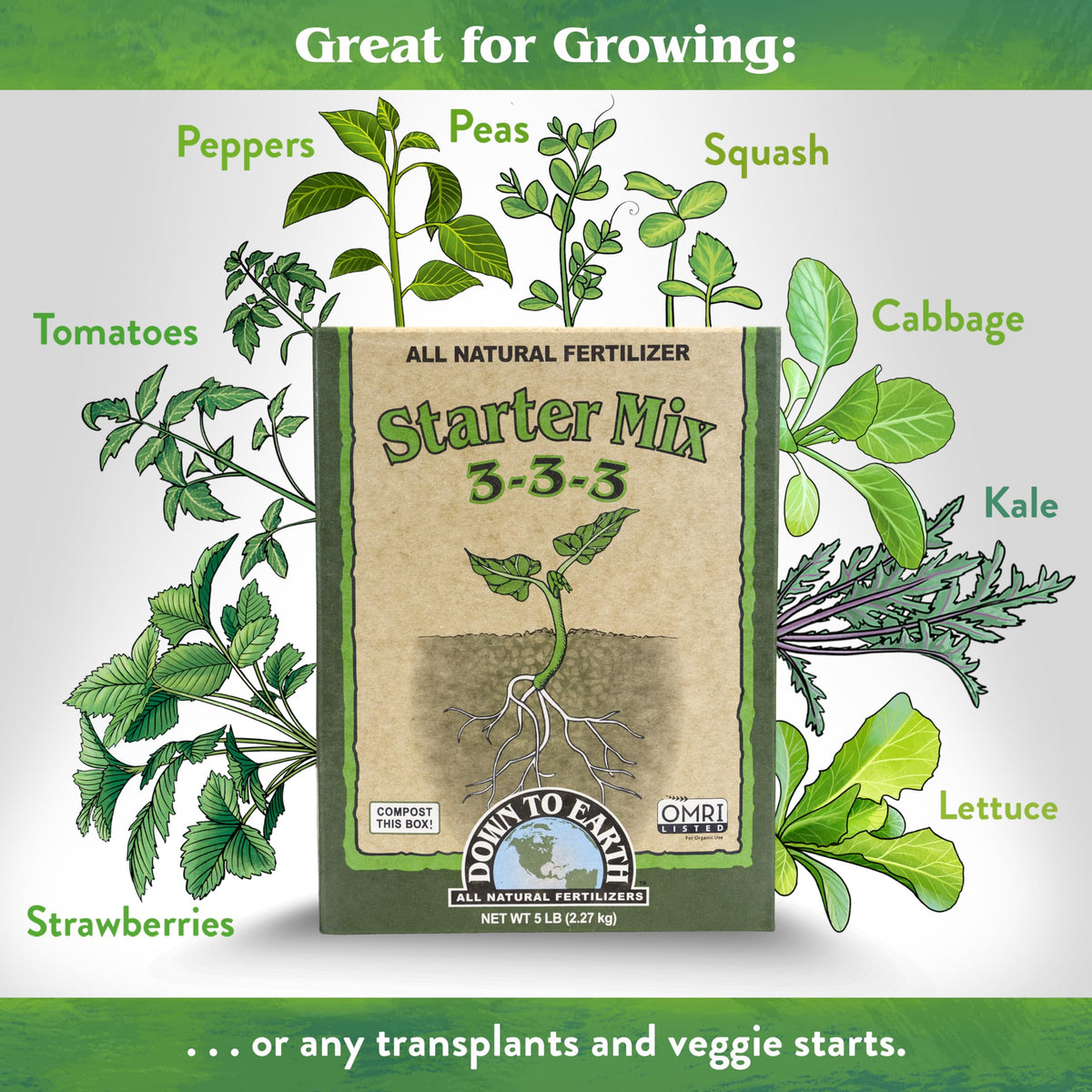 Down To Earth Starter Mix being sprinkled into soil around seedlings.