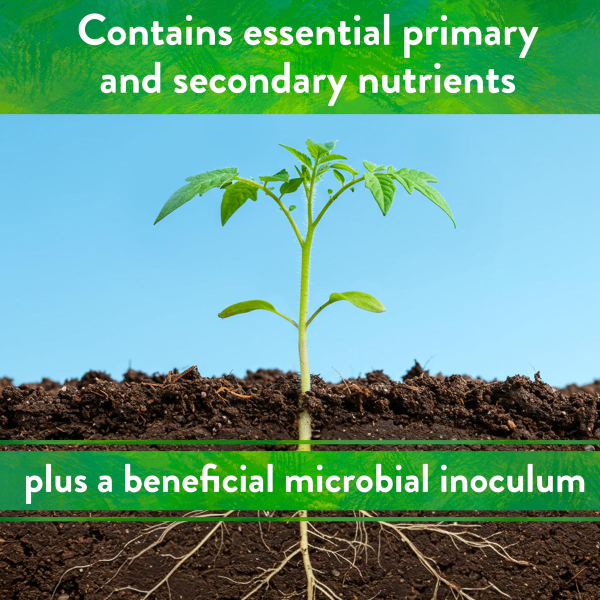 Down To Earth Starter Mix featuring mycorrhizal fungi to boost roots.