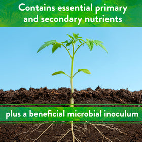 Down To Earth Starter Mix featuring mycorrhizal fungi to boost roots.