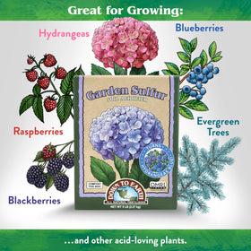 Down To Earth sulfur acidifier applied to hydrangea soil for vibrant blooms.