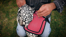 Down Under Outdoors easy-care saddle ready for daily flock use.