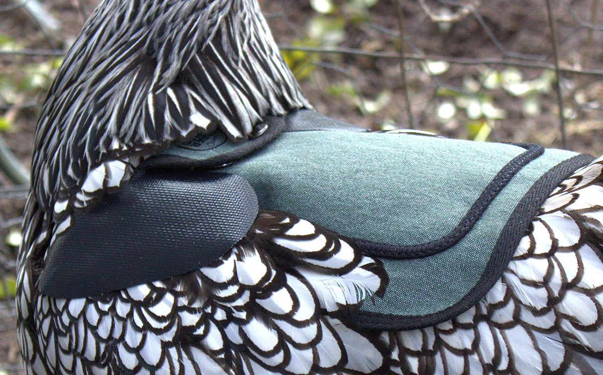 Down Under Outdoors saddle image shows secure fit and easy adjustment